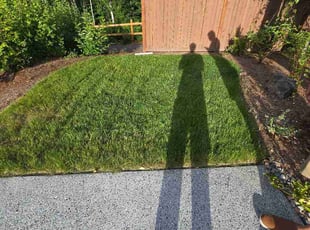 Johnny D.'s grass cutting service result