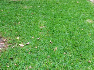 Andre S.'s lawn care services service result