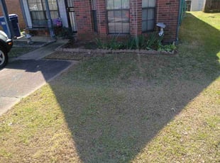 Vineel R.'s turf maintenance service result