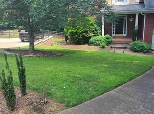 Jonathan B.'s lawn care services service result