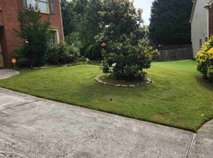 Mohammed M.'s grass cutting service result