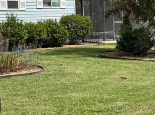 Susan N.'s Bush Trimming service result