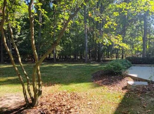 Brent B.'s grass cutting service result