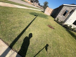 Donna C.'s turf maintenance service result