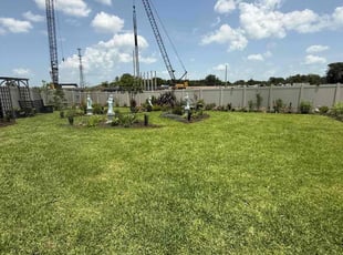 Trisha M.'s lawn maintenance service result