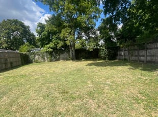 Alex P.'s lawn care service result