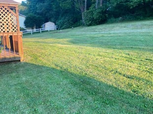 Kyree P.'s lawn service service result