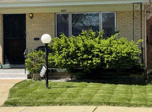 Gary L.'s grass maintenance service result