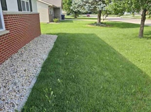 Bill M.'s turf maintenance service result
