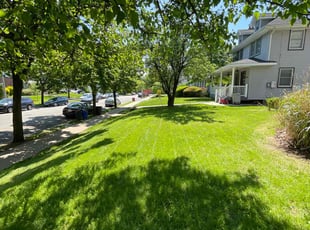 Andrew S.'s turf maintenance service result