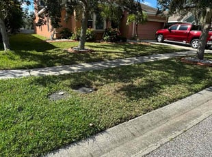 Ameila C.'s lawn care service result