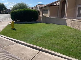 Jennifer K.'s lawn care services service result