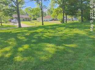 Michelle R.'s lawn maintenance service result
