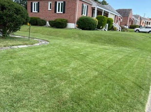 Shanell J.'s lawn care service result