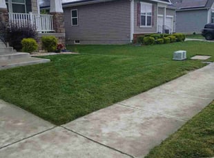 Richard S.'s turf care service result