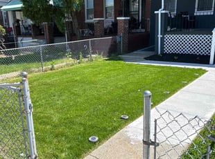 Marsha S.'s grass maintenance service result