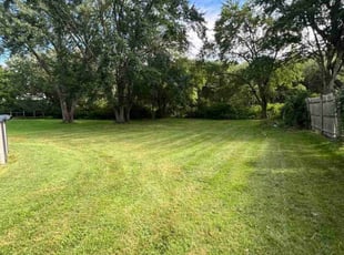 Henry L.'s grass cutting service result