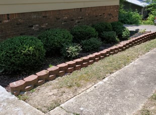 Michele A.'s Bush Trimming service result