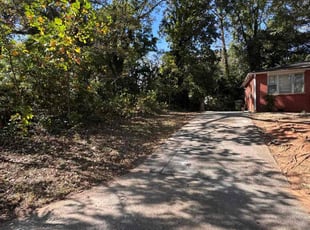 Angelo G.'s grass cutting service result