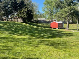Lebriah S.'s lawn care service result