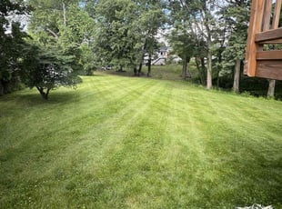 Glenda H.'s lawn maintenance service result