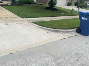 Irina G.'s grass cutting service result