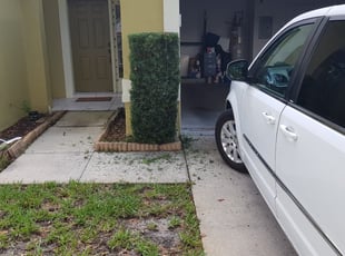 Tara L.'s Bush Trimming service result