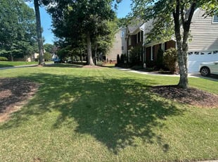 Sandra M.'s lawn care service result