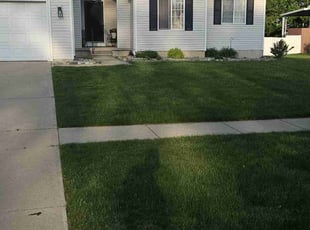 Xihong Y.'s lawn care service result