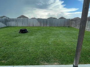 Neil B.'s turf care service result