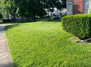 Chris G.'s lawn care service result