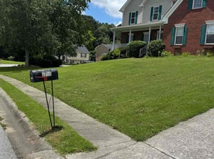 Lee P.'s lawn service service result