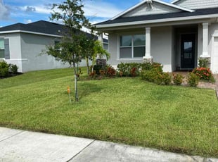 Sandra B.'s Long Grass Cleanup service result