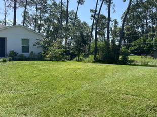 Dave C.'s lawn care service result