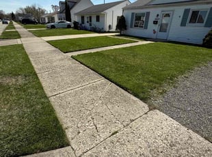 Brittany B.'s lawn care services service result