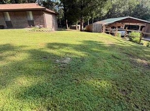 Lois L.'s turf care service result