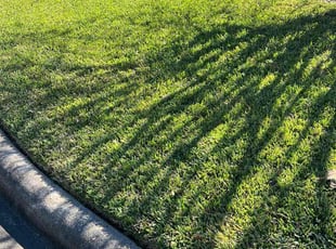 Valerie V.'s turf maintenance service result