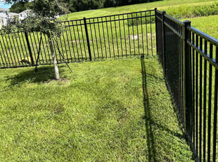 Robert O.'s turf maintenance service result
