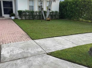 Will C.'s lawn care services service result