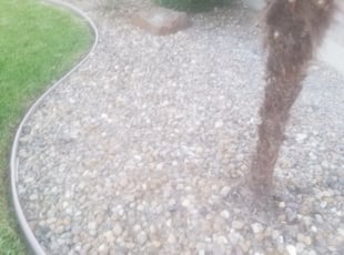 Philip M.'s Flower Bed Weeding service result