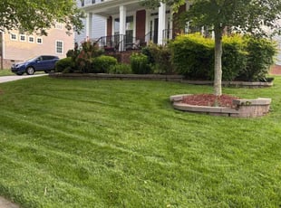 Tajuana P.'s Lawn Mowing service result