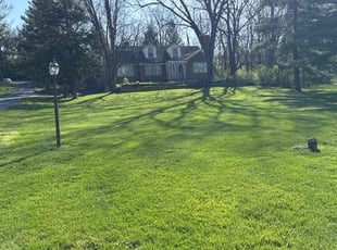 Gabriel B.'s turf care service result