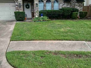 Eric M.'s residential landscaping service result