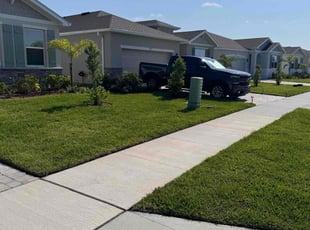 Paul Y.'s lawn maintenance service result
