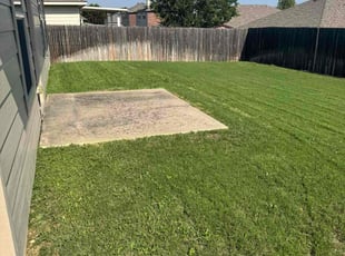 Mike C.'s grass maintenance service result