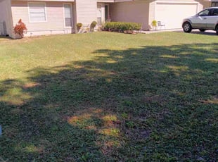 Leslie C.'s grass maintenance service result