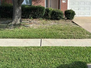 Jenny L.'s turf maintenance service result