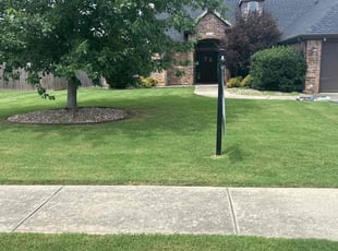 Alison C.'s lawn service service result