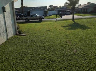 Joseph Z.'s lawn care services service result