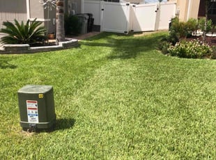 Kenneth M.'s lawn care services service result